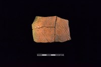 藏品(陶片)的圖片